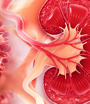 Monthly Topics and Meeting Schedule-01